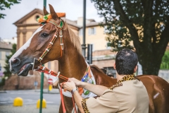 Corteo-Vittoria-Selva-31-Agosto-2019-271