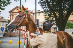 Corteo-Vittoria-Selva-31-Agosto-2019-272