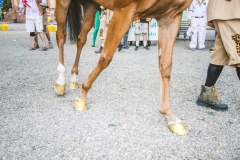 Corteo-Vittoria-Selva-31-Agosto-2019-275