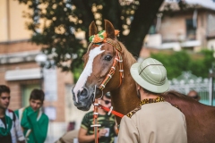Corteo-Vittoria-Selva-31-Agosto-2019-279