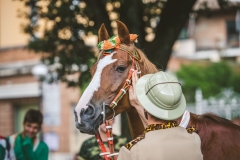 Corteo-Vittoria-Selva-31-Agosto-2019-281