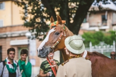 Corteo-Vittoria-Selva-31-Agosto-2019-282