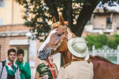 Corteo-Vittoria-Selva-31-Agosto-2019-283