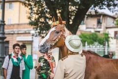 Corteo-Vittoria-Selva-31-Agosto-2019-284