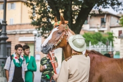 Corteo-Vittoria-Selva-31-Agosto-2019-285