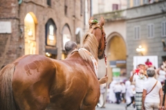 Corteo-Vittoria-Selva-31-Agosto-2019-776