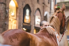 Corteo-Vittoria-Selva-31-Agosto-2019-777