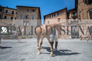 Giro-Vittoria-Selva-Palio-Ago-2019-362