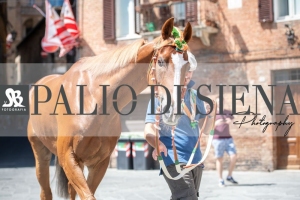 Giro-Vittoria-Selva-Palio-Ago-2019-366