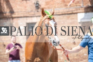 Giro-Vittoria-Selva-Palio-Ago-2019-369