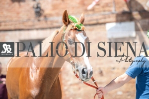 Giro-Vittoria-Selva-Palio-Ago-2019-370
