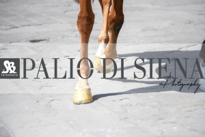 Giro-Vittoria-Selva-Palio-Ago-2019-373