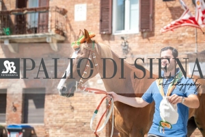 Giro-Vittoria-Selva-Palio-Ago-2019-374