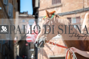 Giro-Vittoria-Selva-Palio-Ago-2019-375