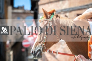 Giro-Vittoria-Selva-Palio-Ago-2019-376