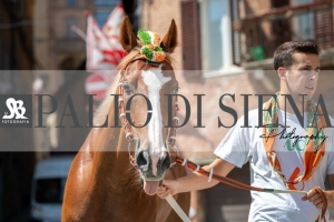 Giro-Vittoria-Selva-Palio-Ago-2019-379