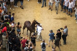 Giubilo-Selva-Palio-16-Ago-2019-102