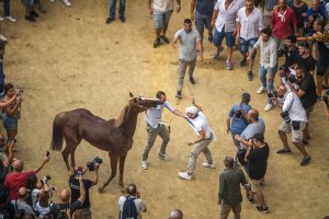 Giubilo-Selva-Palio-16-Ago-2019-104