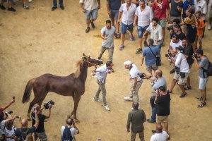 Giubilo-Selva-Palio-16-Ago-2019-105