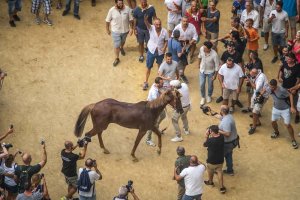 Giubilo-Selva-Palio-16-Ago-2019-106