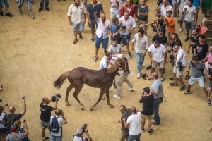 Giubilo-Selva-Palio-16-Ago-2019-107