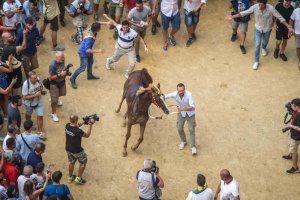 Giubilo-Selva-Palio-16-Ago-2019-114