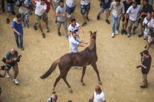 Giubilo-Selva-Palio-16-Ago-2019-115