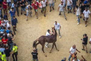 Giubilo-Selva-Palio-16-Ago-2019-116