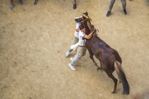 Giubilo-Selva-Palio-16-Ago-2019-117