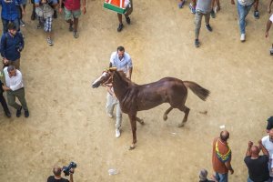 Giubilo-Selva-Palio-16-Ago-2019-118