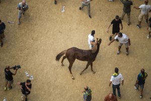 Giubilo-Selva-Palio-16-Ago-2019-121