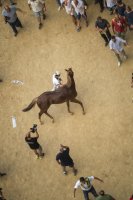 Giubilo-Selva-Palio-16-Ago-2019-127