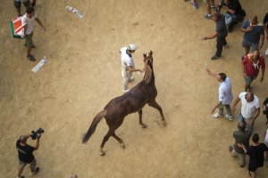 Giubilo-Selva-Palio-16-Ago-2019-129