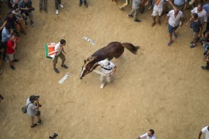 Giubilo-Selva-Palio-16-Ago-2019-130