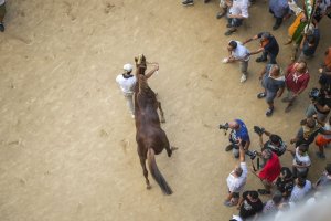Giubilo-Selva-Palio-16-Ago-2019-149