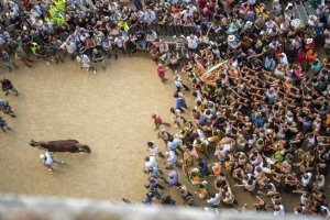 Giubilo-Selva-Palio-16-Ago-2019-154