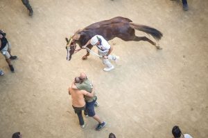 Giubilo-Selva-Palio-16-Ago-2019-161