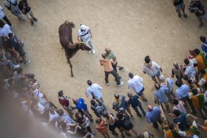 Giubilo-Selva-Palio-16-Ago-2019-162