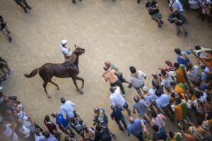 Giubilo-Selva-Palio-16-Ago-2019-163