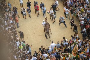 Giubilo-Selva-Palio-16-Ago-2019-170