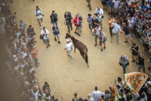 Giubilo-Selva-Palio-16-Ago-2019-171