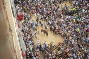Giubilo-Selva-Palio-16-Ago-2019-180