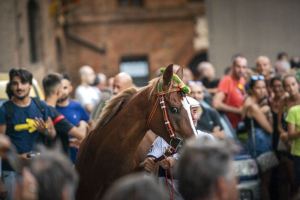 Giubilo-Selva-Palio-16-Ago-2019-342