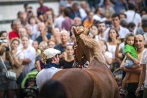 Giubilo-Selva-Palio-16-Ago-2019-343