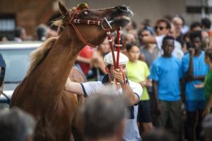 Giubilo-Selva-Palio-16-Ago-2019-346