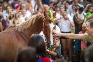 Giubilo-Selva-Palio-16-Ago-2019-350