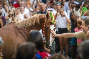 Giubilo-Selva-Palio-16-Ago-2019-351