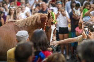 Giubilo-Selva-Palio-16-Ago-2019-352