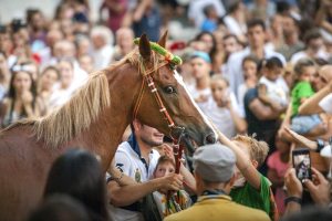 Giubilo-Selva-Palio-16-Ago-2019-353
