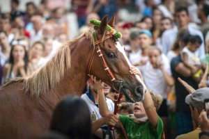 Giubilo-Selva-Palio-16-Ago-2019-354